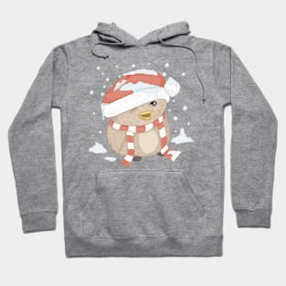 Lil Christmas Birdy Guy Hoodie